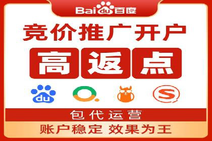 百度推广返点策略：成功案例分享